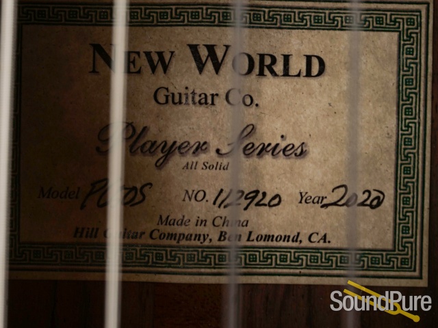 Kenny Hill New World Player P650S Guitar #112920 - Used — image 8