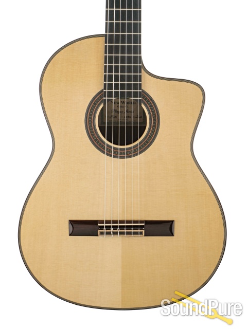 Kenny Hill New World Player P650S Guitar #112920 - Used — image 1