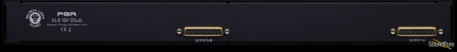 Black Lion PBR XLR 16F DSub — image 5