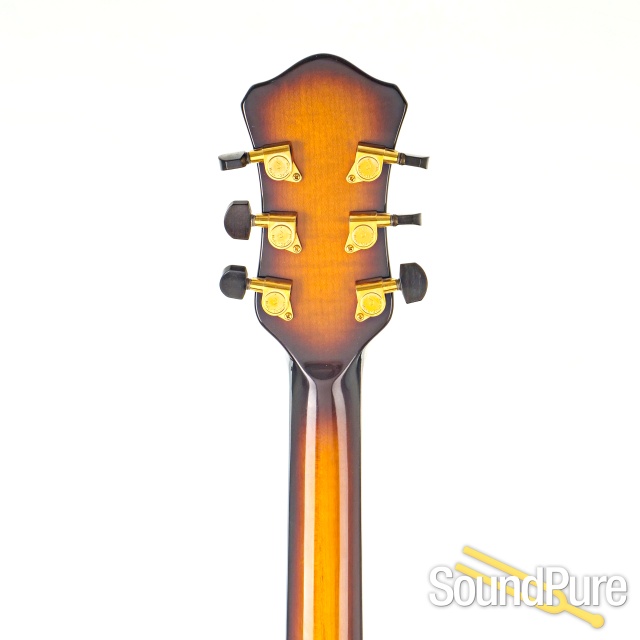 Hofner Jazzica Custom Archtop Guitar #D05523 - Used — image 7