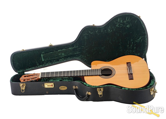 Buscarino Cabaret Guitar #DW0753099 - Used — image 6