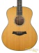 41305-taylor-custom-grand-symphony-guitar-1204042187-used-19df3cd402e-51.jpg