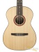 41368-goodall-crossover-nylon-string-acoustic-guitar-rx7004-used-19e88fa08b8-b.jpg