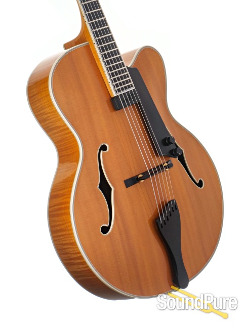 Buscarino Monarch Guitar #B-0929395 - Used — image 2