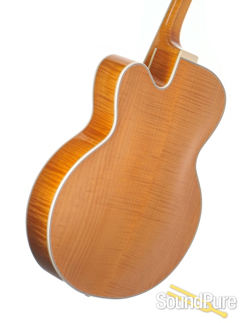 Buscarino Monarch Guitar #B-0929395 - Used — image 3