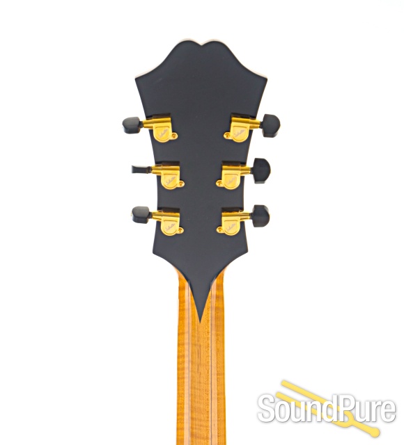 Buscarino Monarch Guitar #B-0929395 - Used — image 8
