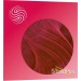 41487-izotope-velvet-vocal-processing-plugin-19e894a1257-63.jpg
