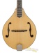 41531-bourgeois-m5a-mandolin-m0623106-19ea91595ac-2.jpg