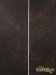 41939-huss-dalton-td-r-guitar-6478-used-19ff1d59e5e-59.jpg