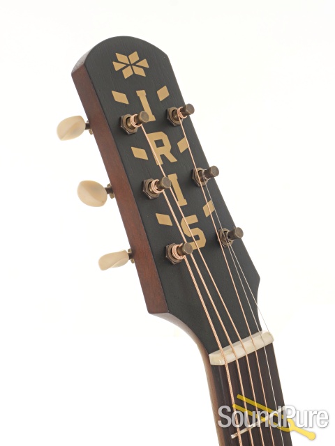 Iris WE Tobacco Burst Guitar #1708 — image 10