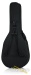 42046-gator-jumbo-acoustic-guitar-lightweight-case-gl-jumbo-19fed75bc49-0.jpg