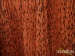 42168-martin-gpc-13e-modern-fg-guitar-3096572-1a025ebef18-41.jpg