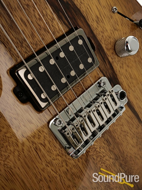 Anderson Pro Am Shorty Hollow Guitar #09-18-26N — image 8