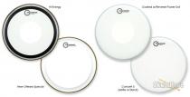 Aquarian 12" Coated With Dot Underneath Drumhead Aquarian 12" Coated With Dot Underneath Drumhead
