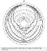 441-DPA_4003_130V_Omnidirectional_Condenser_Microhphone-13ad7a04a43-32.png