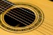 5849-Oskar_Graf_Custom_7_String_Acoustic_Guitar_USED...BRAZILIAN_-13c6e1cefd3-1.jpg