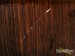 6569-brady-4pc-jarrah-gloss-drum-set-used-15385e76eb4-42.jpg