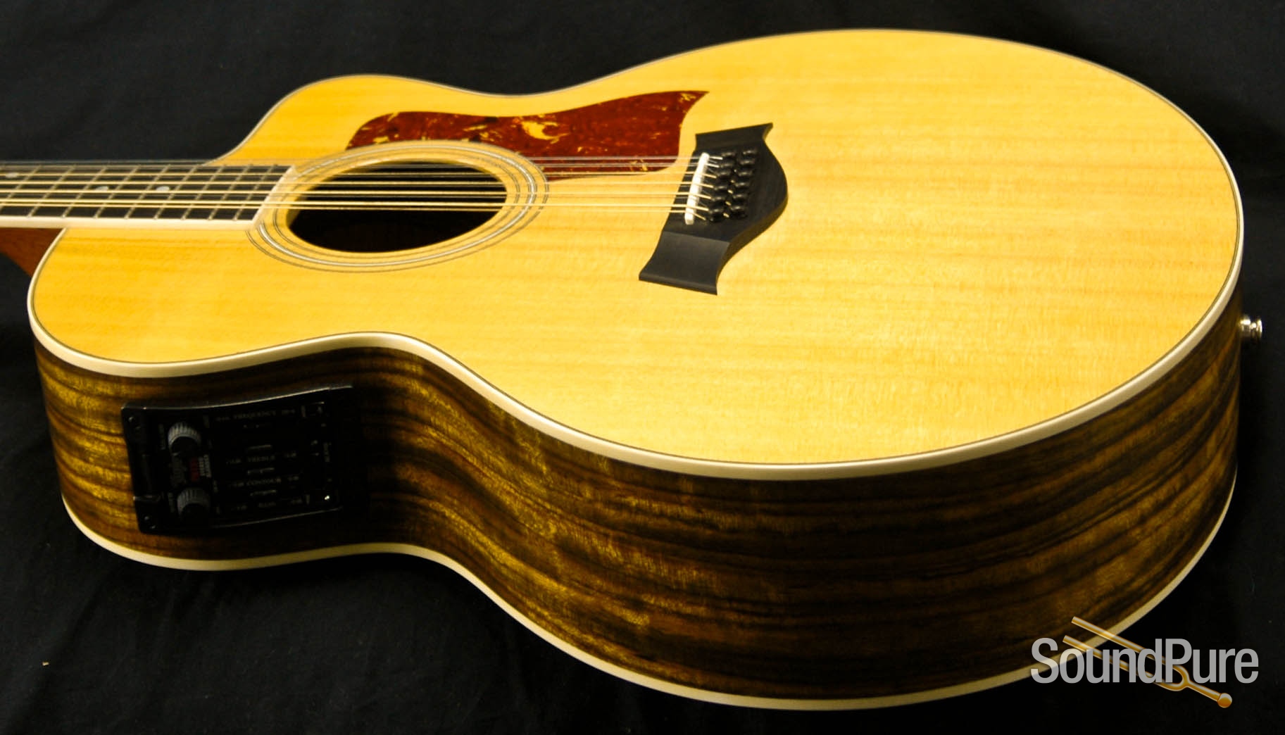 Taylor 455CE 12 String Jumbo Acoustic Guitar Used