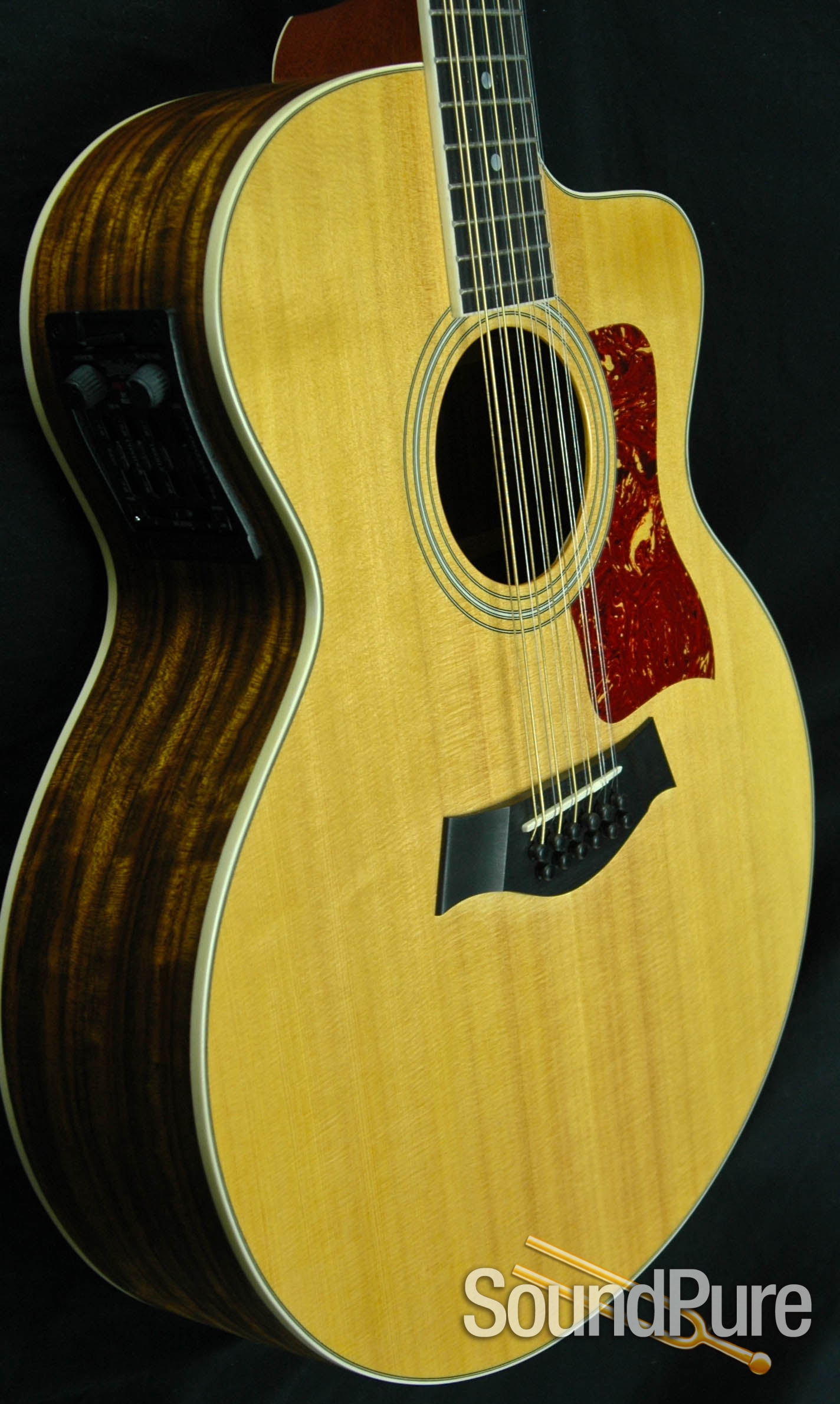 Taylor 455CE 12 String Jumbo Acoustic Guitar Used