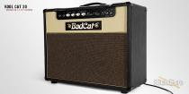 Bad Cat Kool Cat 30 Bad Cat Kool Cat 30