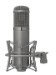 678-Peluso_2247_LE_TELEFUNKEN_TUBE_Switchable_Pattern_Tube_Microphone-1273d0e3159-11.jpg