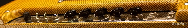 Victoria Amps Model 35310- T - Used — image 5