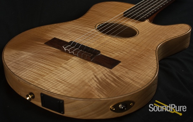 Buscarino Starlight Nylon String Acoustic Electric Guitar — image 6
