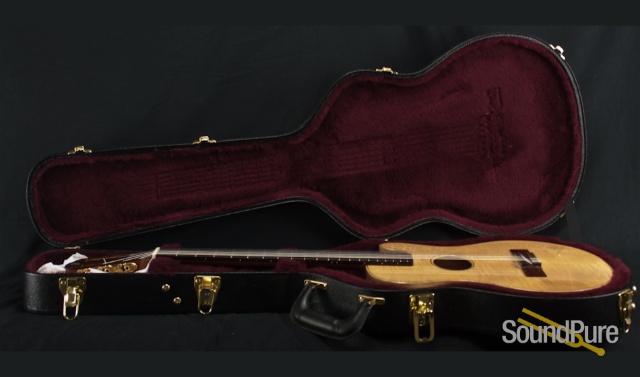 Buscarino Starlight Nylon String Acoustic Electric Guitar — image 12