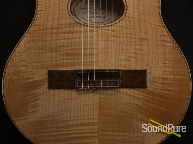 Buscarino Starlight Nylon String Acoustic Electric Guitar — image 15