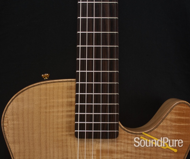 Buscarino Starlight Nylon String Acoustic Electric Guitar — image 16
