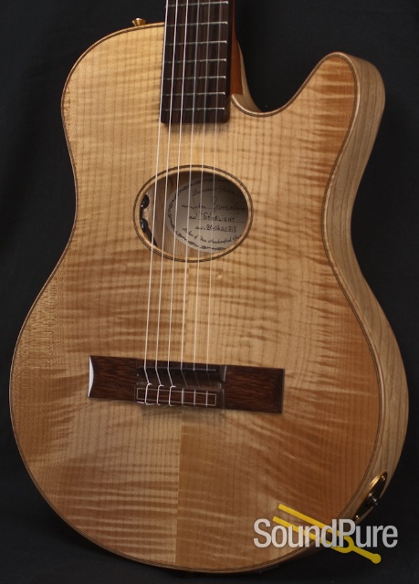 Buscarino Starlight Nylon String Acoustic Electric Guitar — image 17