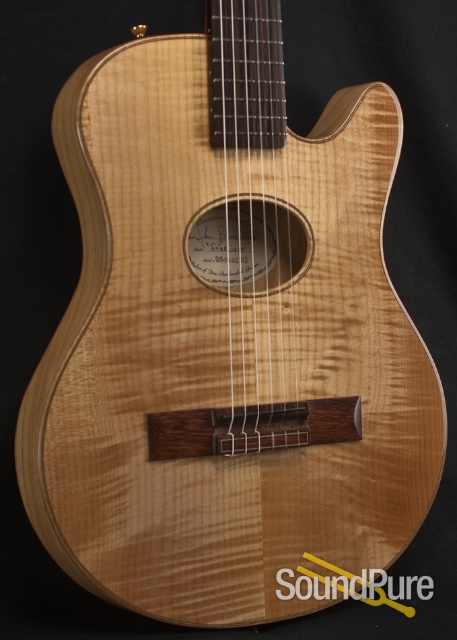 Buscarino Starlight Nylon String Acoustic Electric Guitar — image 18