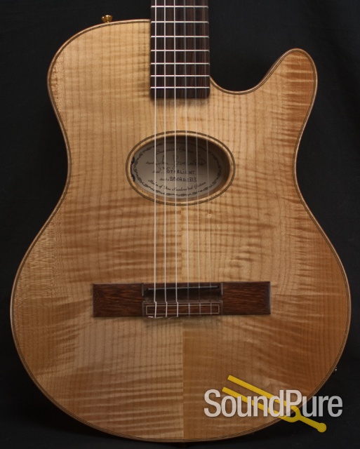 Buscarino Starlight Nylon String Acoustic Electric Guitar — image 1