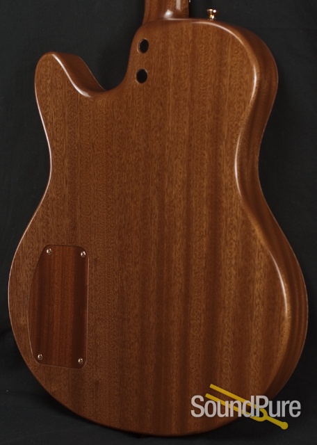 Buscarino Starlight Archtop Guitar — image 2