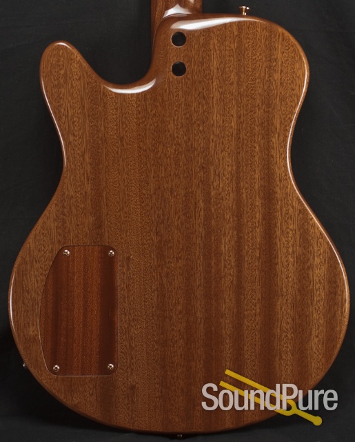Buscarino Starlight Archtop Guitar — image 3