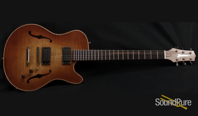 Buscarino Starlight Archtop Guitar — image 4