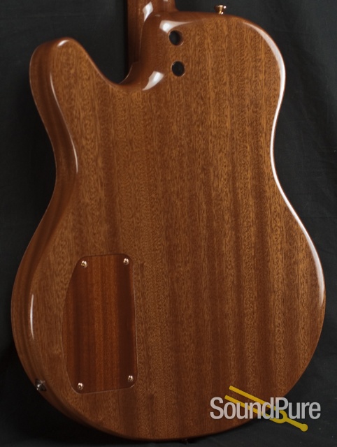 Buscarino Starlight Archtop Guitar — image 5