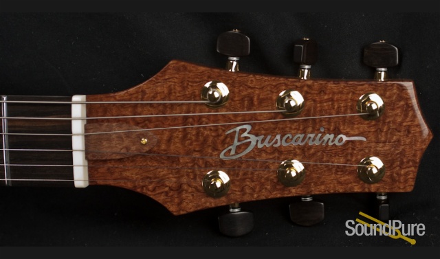 Buscarino Starlight Archtop Guitar — image 6