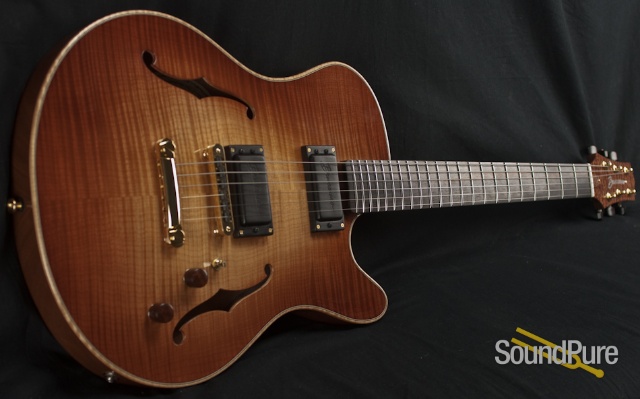 Buscarino Starlight Archtop Guitar — image 7