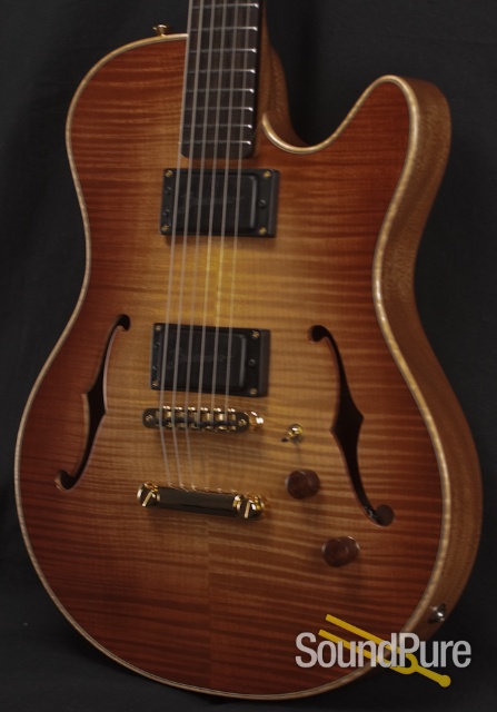 Buscarino Starlight Archtop Guitar — image 8