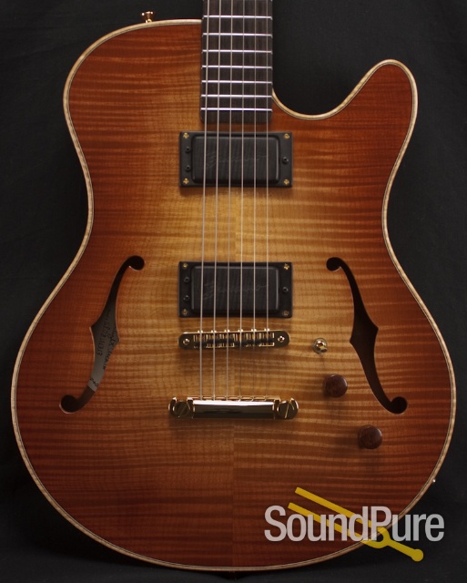 Buscarino Starlight Archtop Guitar — image 1