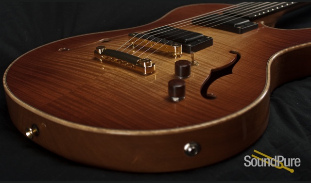 Buscarino Starlight Archtop Guitar — image 10