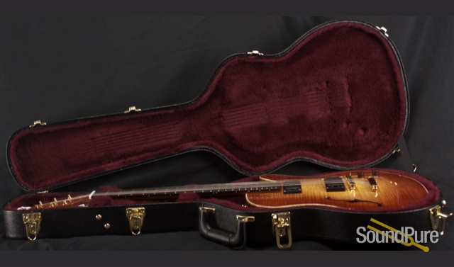 Buscarino Starlight Archtop Guitar — image 11