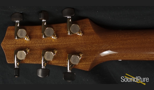 Buscarino Starlight Archtop Guitar — image 13