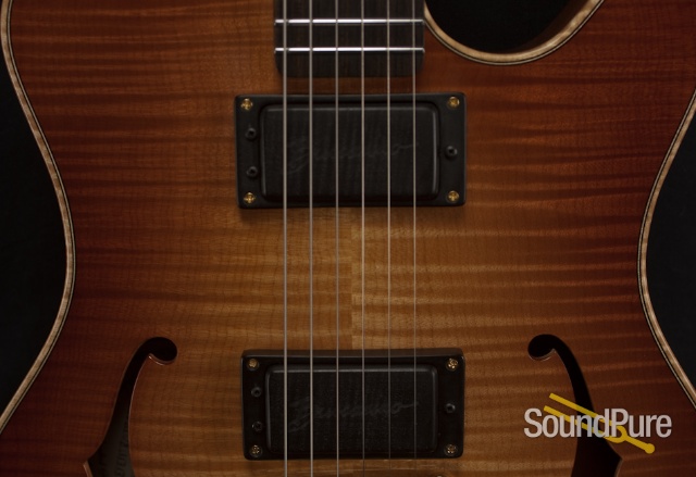Buscarino Starlight Archtop Guitar — image 14