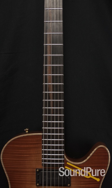 Buscarino Starlight Archtop Guitar — image 15