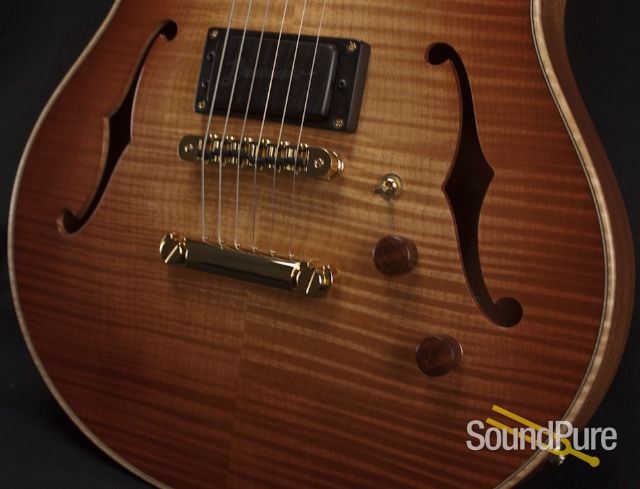 Buscarino Starlight Archtop Guitar — image 16