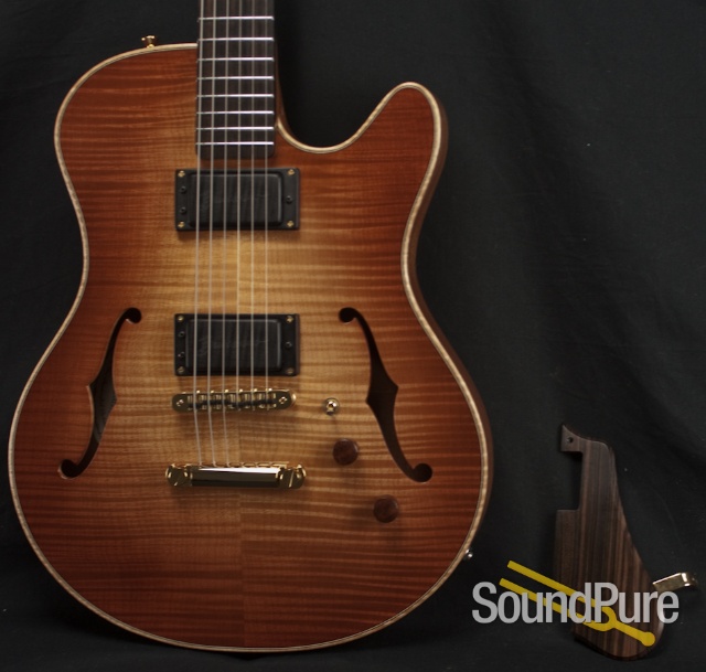 Buscarino Starlight Archtop Guitar — image 17