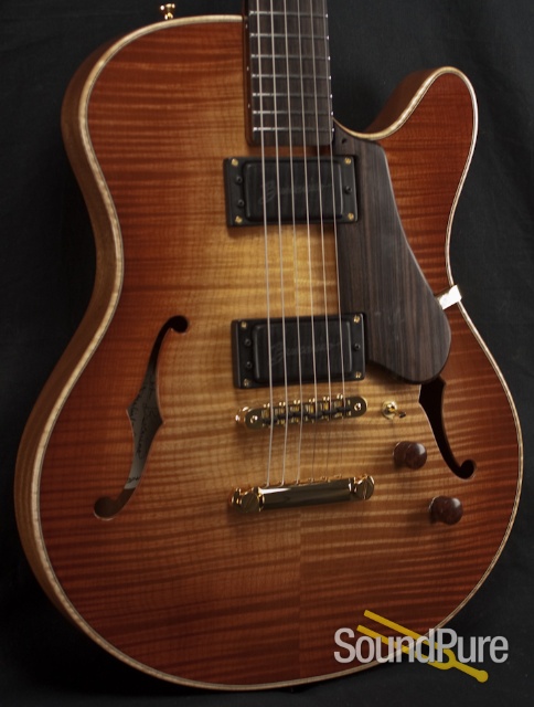 Buscarino Starlight Archtop Guitar — image 20