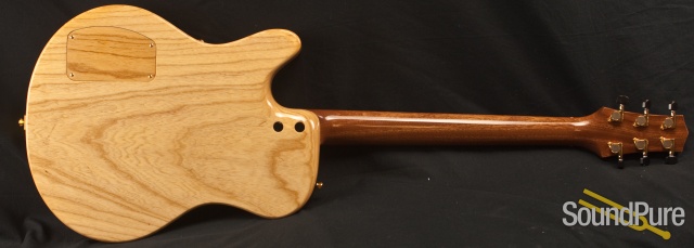 Buscarino Starlight Archtop Guitar 2513 — image 4